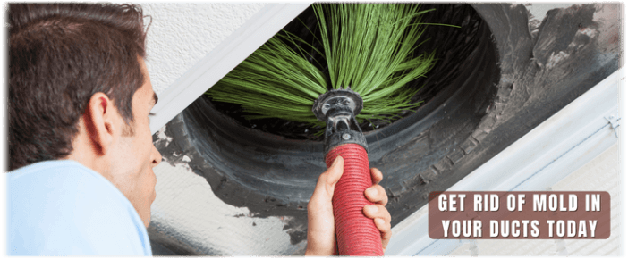 Air Duct Mold Removal in Lewisville