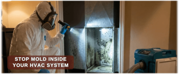 HVAC Mold Removal Lewisville
